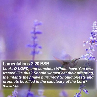Lamentations 2:20 BSB Bible Verse Image