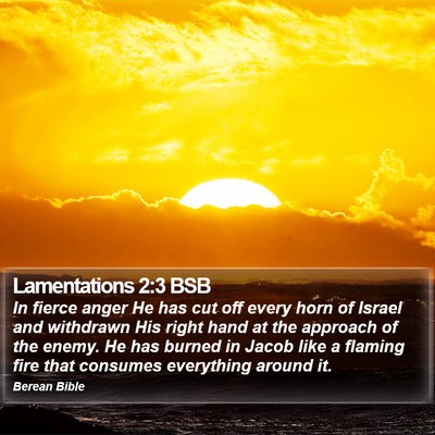 Lamentations 2:3 BSB Bible Verse Image