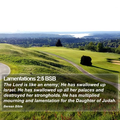 Lamentations 2:5 BSB Bible Verse Image