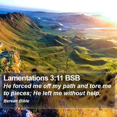 Lamentations 3:11 BSB Bible Verse Image