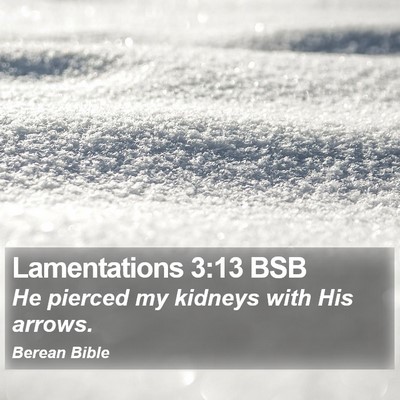 Lamentations 3:13 BSB Bible Verse Image