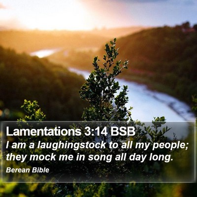 Lamentations 3:14 BSB Bible Verse Image