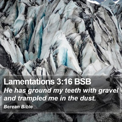 Lamentations 3:16 BSB Bible Verse Image