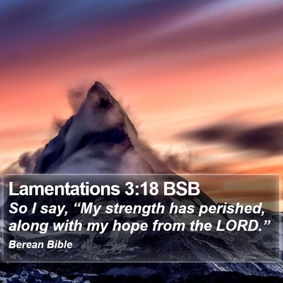Lamentations 3:18 BSB Bible Verse Image