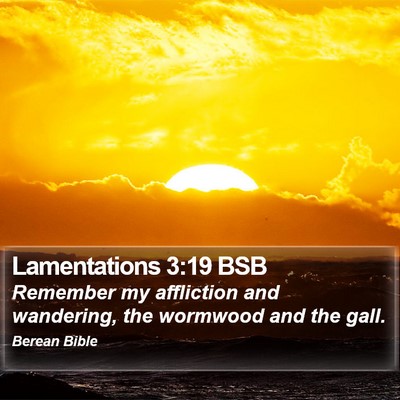 Lamentations 3:19 BSB Bible Verse Image
