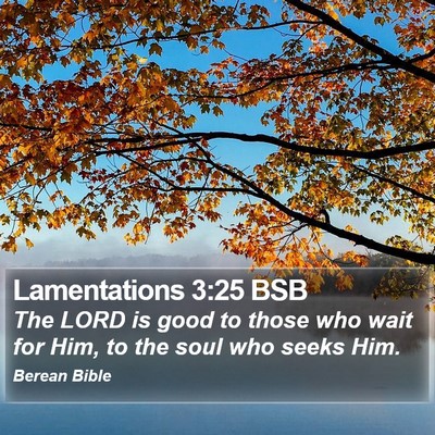 Lamentations 3:25 BSB Bible Verse Image