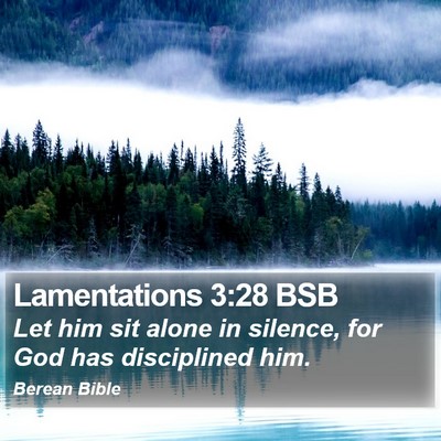 Lamentations 3:28 BSB Bible Verse Image