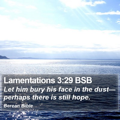 Lamentations 3:29 BSB Bible Verse Image