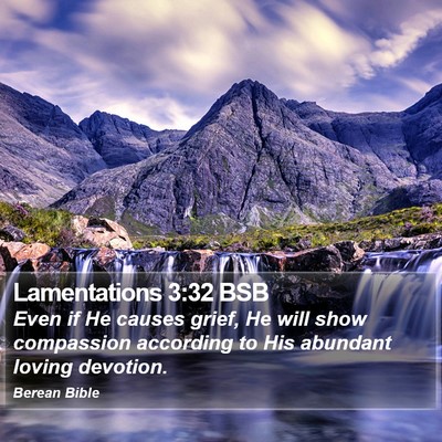 Lamentations 3:32 BSB Bible Verse Image