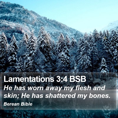 Lamentations 3:4 BSB Bible Verse Image