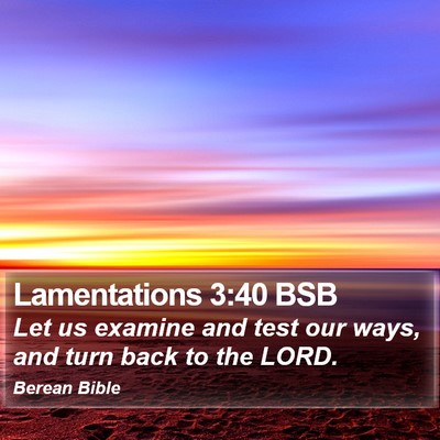 Lamentations 3:40 BSB Bible Verse Image
