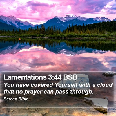 Lamentations 3:44 BSB Bible Verse Image