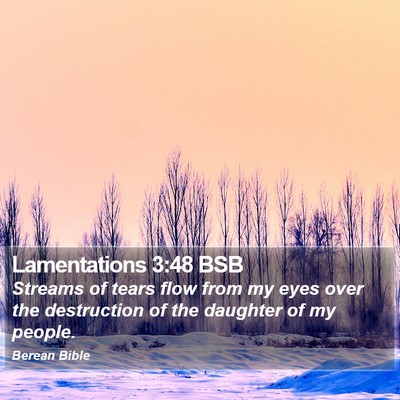 Lamentations 3:48 BSB Bible Verse Image
