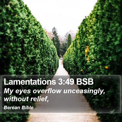 Lamentations 3:49 BSB Bible Verse Image