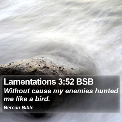Lamentations 3:52 BSB Bible Verse Image