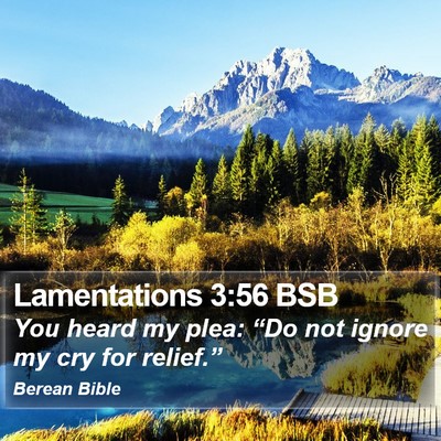 Lamentations 3:56 BSB Bible Verse Image