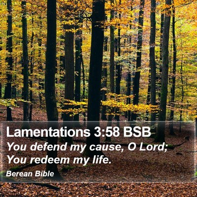 Lamentations 3:58 BSB Bible Verse Image