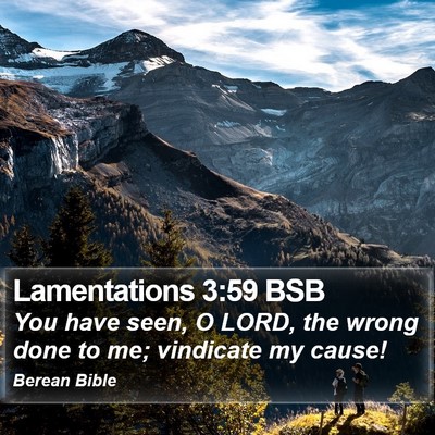 Lamentations 3:59 BSB Bible Verse Image