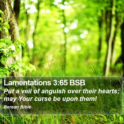 Lamentations 3:65 BSB Bible Verse Image