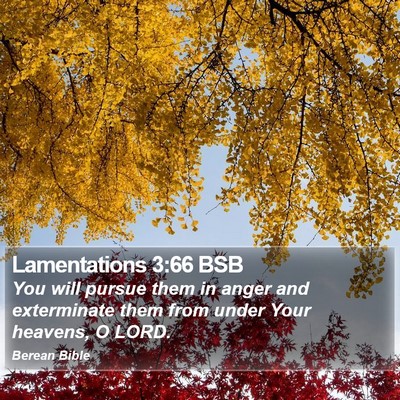 Lamentations 3:66 BSB Bible Verse Image