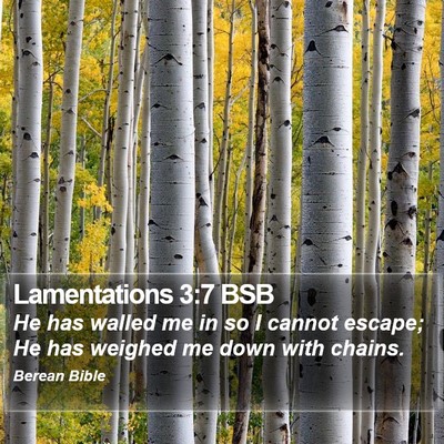 Lamentations 3:7 BSB Bible Verse Image