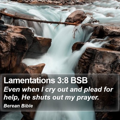 Lamentations 3:8 BSB Bible Verse Image