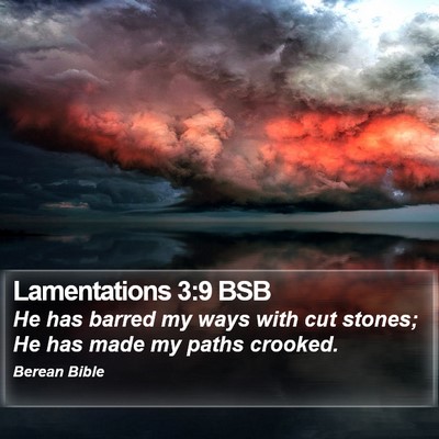 Lamentations 3:9 BSB Bible Verse Image