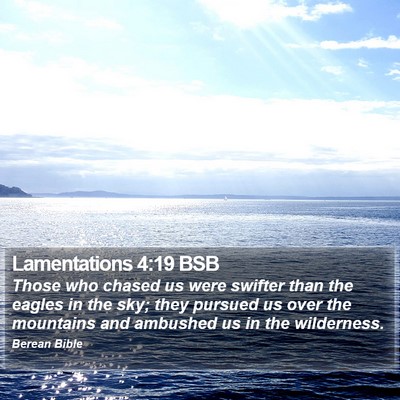 Lamentations 4:19 BSB Bible Verse Image
