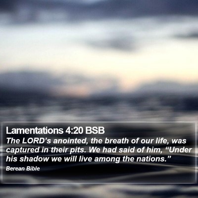 Lamentations 4:20 BSB Bible Verse Image