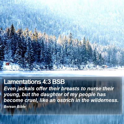 Lamentations 4:3 BSB Bible Verse Image