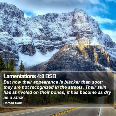 Lamentations 4:8 BSB Bible Verse Image