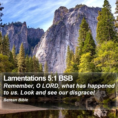 Lamentations 5:1 BSB Bible Verse Image