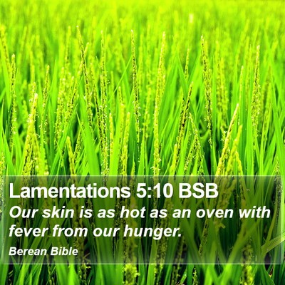 Lamentations 5:10 BSB Bible Verse Image