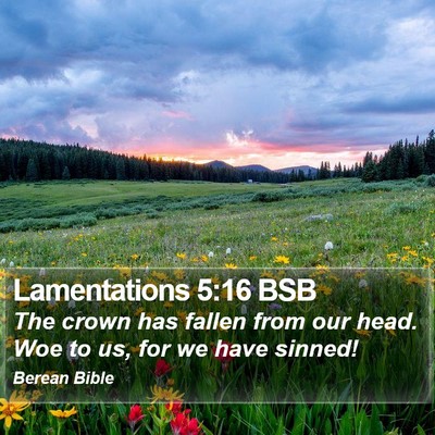 Lamentations 5:16 BSB Bible Verse Image
