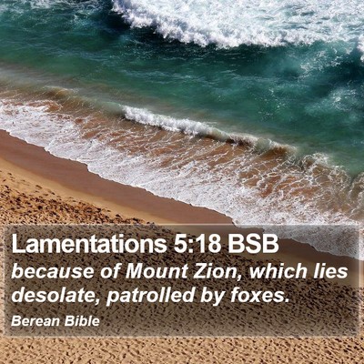 Lamentations 5:18 BSB Bible Verse Image