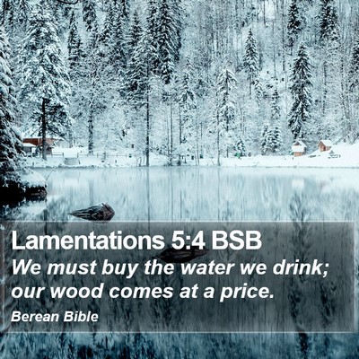 Lamentations 5:4 BSB Bible Verse Image
