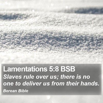 Lamentations 5:8 BSB Bible Verse Image