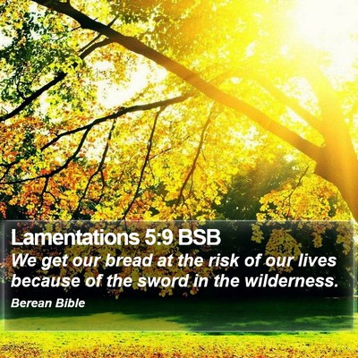 Lamentations 5:9 BSB Bible Verse Image