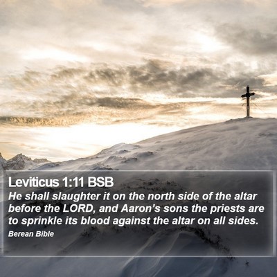 Leviticus 1:11 BSB Bible Verse Image
