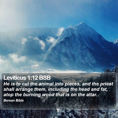 Leviticus 1:12 BSB Bible Verse Image
