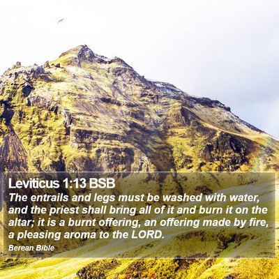 Leviticus 1:13 BSB Bible Verse Image
