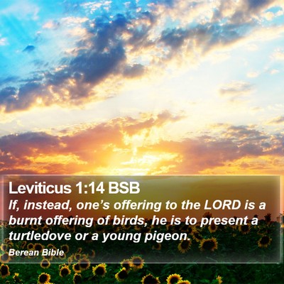 Leviticus 1:14 BSB Bible Verse Image