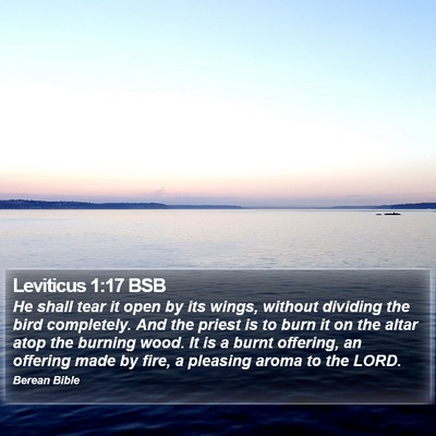 Leviticus 1:17 BSB Bible Verse Image
