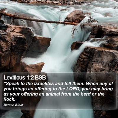 Leviticus 1:2 BSB Bible Verse Image