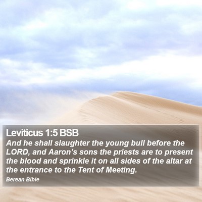 Leviticus 1:5 BSB Bible Verse Image