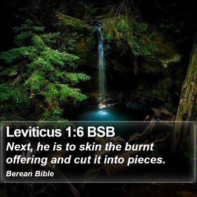 Leviticus 1:6 BSB Bible Verse Image