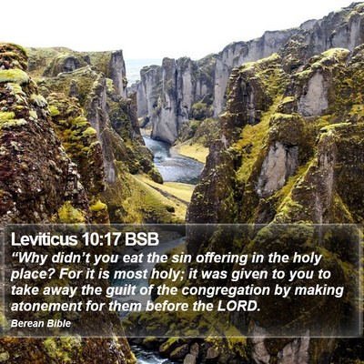 Leviticus 10:17 BSB Bible Verse Image