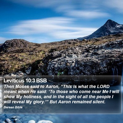 Leviticus 10:3 BSB Bible Verse Image