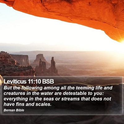 Leviticus 11:10 BSB Bible Verse Image