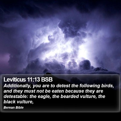 Leviticus 11:13 BSB Bible Verse Image